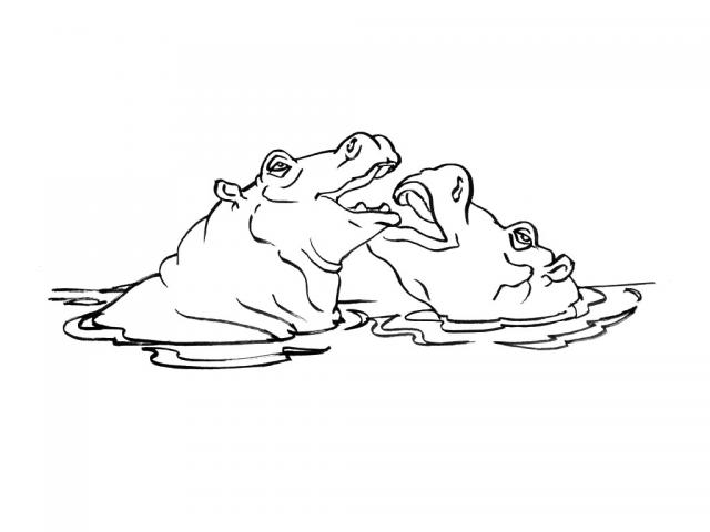 Hipopotam kolorowanki